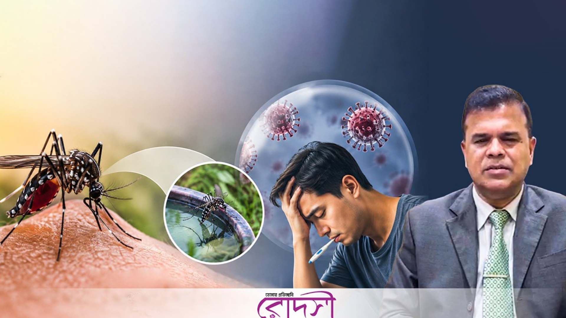 ডেঙ্গু: উপসর্গ, চিকিৎসা ও প্রতিরোধ (ভিডিওসহ)